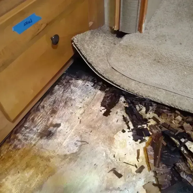 Wood Floor Water Damage in Ionia County, MI